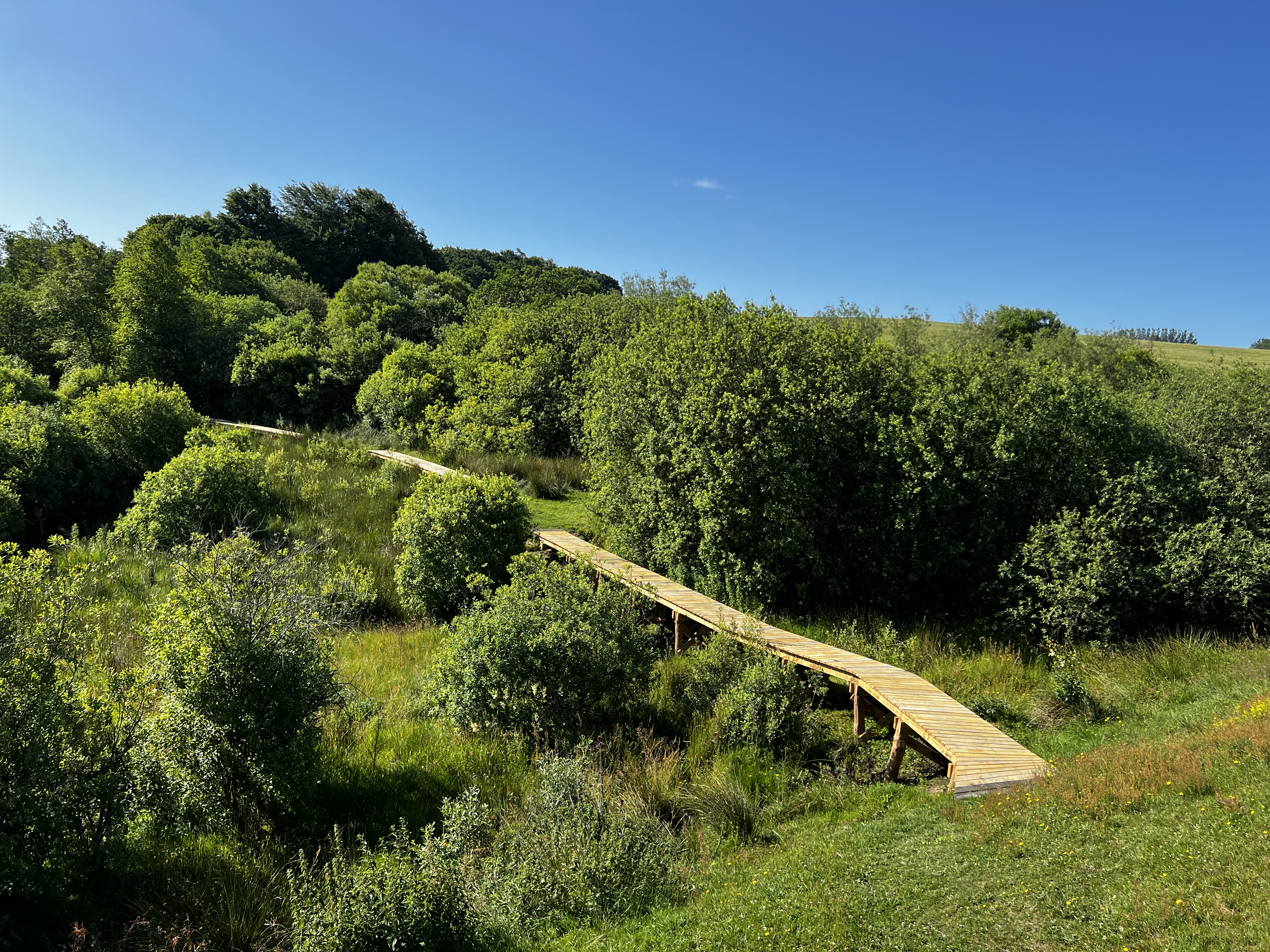 Rørbæk Sø og den nye Gudenåsti